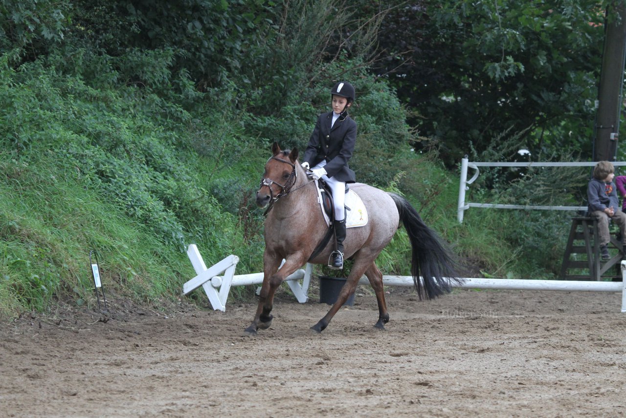Bild 262 - WBO-Turnier am 18.9.11